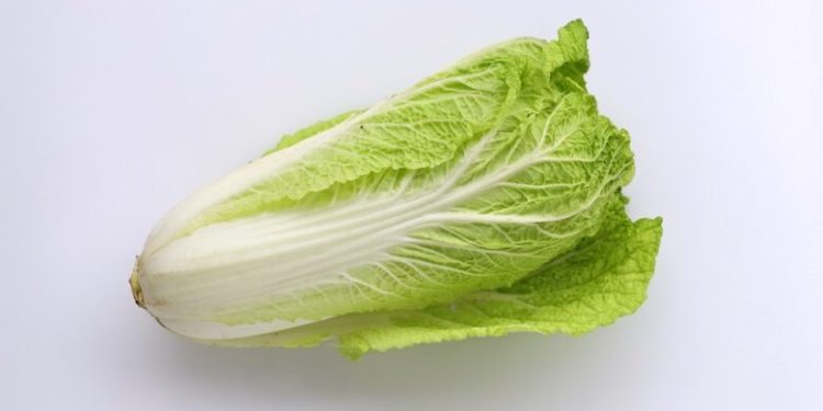 Mengungkap Manfaat Sawi untuk Kesehatan: Melihat Kandungan Nutrisi dan Keajaiban Sayuran Hijau