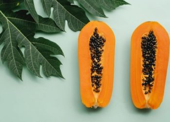 Pepaya: Buah Tropis Penuh Khasiat dan Kandungan Nutrisi
