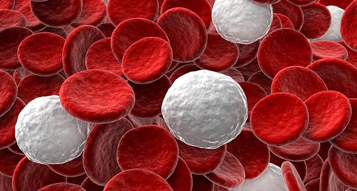 Perbedaan Fungsi dan Peran Sel Darah Merah dan Sel Darah Putih dalam Tubuh Manusia