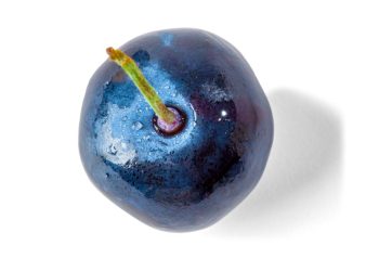 Buah Jamblang Atau Duwet Kandungan dan Manfaat Untuk Kesehatan Tubuh