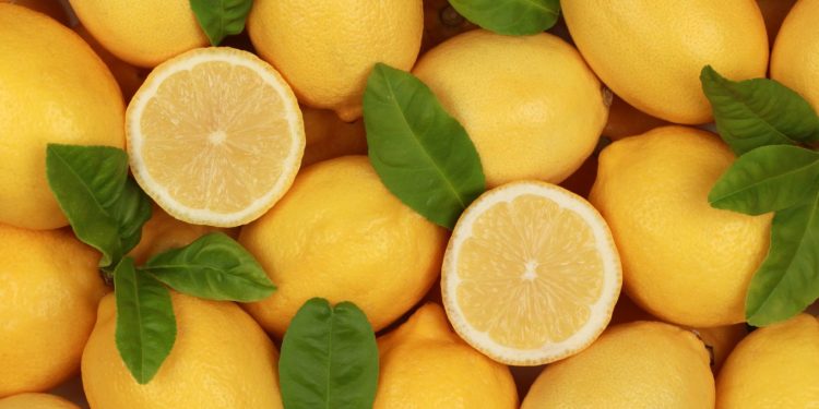 Manfaat Lemon Untuk Kesehatan Tubuh Kaya Kandungan Gizi
