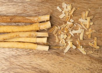 Siwak Rahasia Tersembunyi Kesehatan Gigi dan Mulut