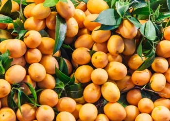 Buah Gandaria: Kandungan dan Khasiatnya