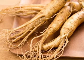 Kandungan dan Khasiat Ginseng bagi Tubuh
