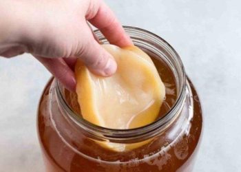 Manfaat Scoby untuk Kesehatan