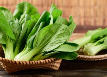 Memahami Manfaat Luar Biasa Pakcoy untuk Kesehatan