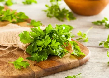 Menggali Manfaat Daun Peterseli bagi Kesehatan
