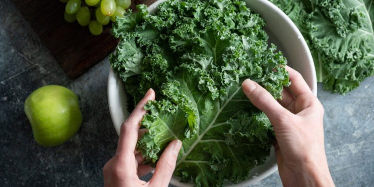 Menggali Manfaat Luar Biasa dari Daun Kale untuk Kesehatan Tubuh