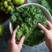 Menggali Manfaat Luar Biasa dari Daun Kale untuk Kesehatan Tubuh