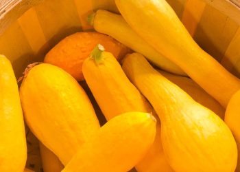 Manfaat Labu Kuning Menjaga Kesehatan dengan Mudah