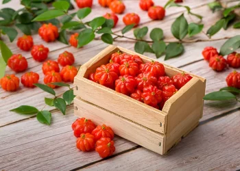 Manfaat Buah Dewandaru Untuk Kesehatan dan Kecantikan