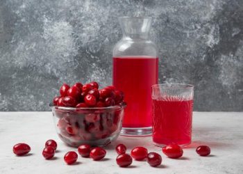 Manfaat Luar Biasa Buah Cranberry untuk Kesehatan Tubuh