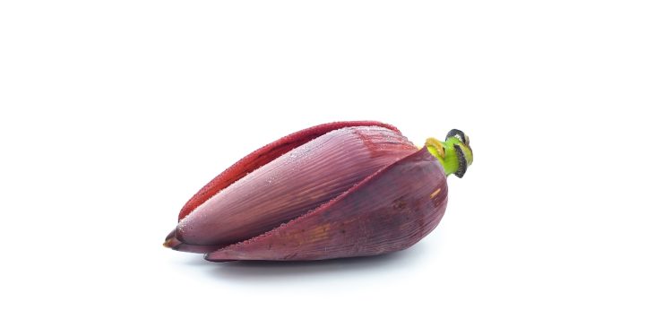 Jantung Pisang: Si Mungil Kaya Manfaat untuk Kesehatan