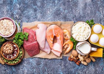 Makanan Tinggi Protein yang Penting Untuk Tubuh