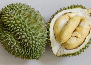 Makanan Yang Dilarang Makan Bersama Durian
