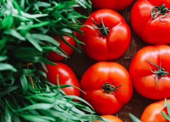 Manfaat Tomat Mawar Untuk Kesehatan Tubuh yang Jarang Diketahui
