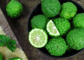 Bentuk Keriput, Ini Manfaat Jeruk Purut Untuk Kesehatan