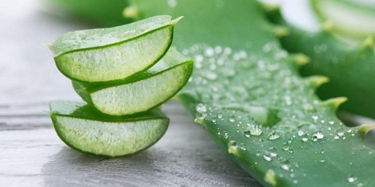 Cara Menghilangkan Bekas Luka