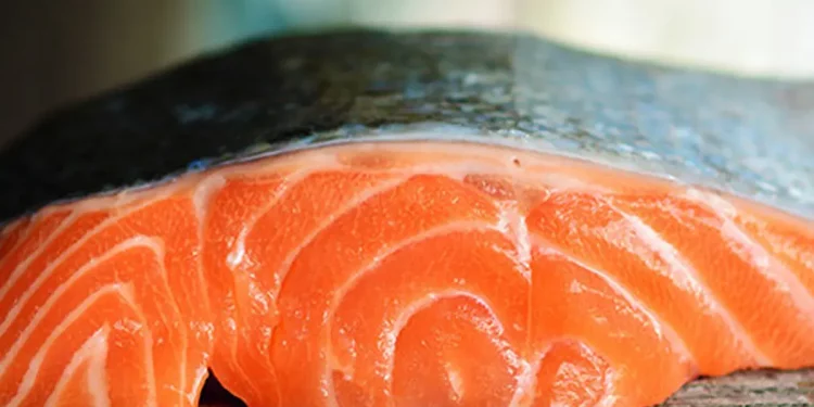 Manfaat Ikan Salmon Untuk Anak-Anak