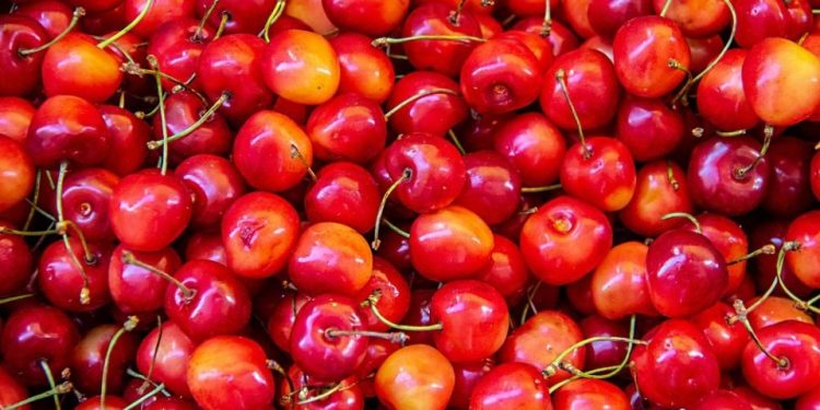 Mengeksplorasi Manfaat Luar Biasa Buah Ceri untuk Kesehatan Anda