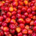 Mengeksplorasi Manfaat Luar Biasa Buah Ceri untuk Kesehatan Anda