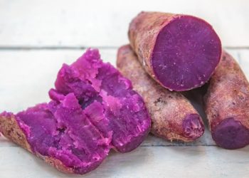 Kandungan dan Manfaat Ubi Ungu Untuk Kesehatan