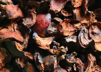 Manfaat Kulit Manggis untuk Kesehatan Salah Satunya Untuk Kulit