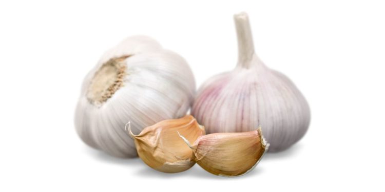 Manfaat Makan Bawang Putih mentah Untuk Kesehatan