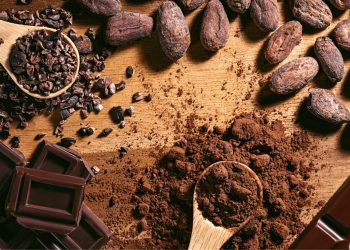 Manfaat Mengonsumsi Coklat Untuk Kesehatan, Bisa Memperbaiki Mood