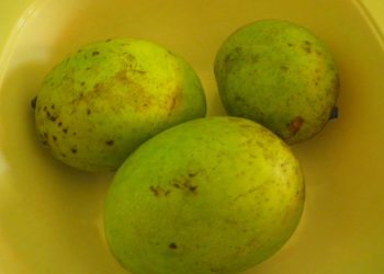 Rasanya Asam, Ini Manfaat Buah Bacang Untuk Kesehatan Tubuh