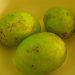 Rasanya Asam, Ini Manfaat Buah Bacang Untuk Kesehatan Tubuh