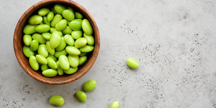 Kaya Protein, Manfaat Edamame Bagi Kesehatan Tubuh