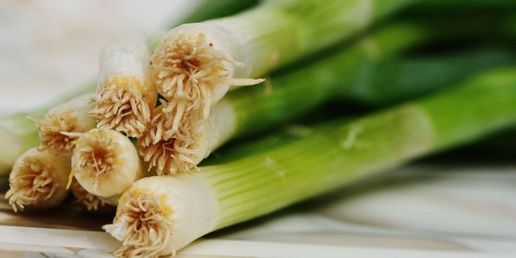 Manfaat Daun Bawang Untuk Kesehatan Tubuh