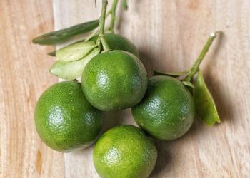 Manfaat Jeruk Kasturi Untuk Kesehatan