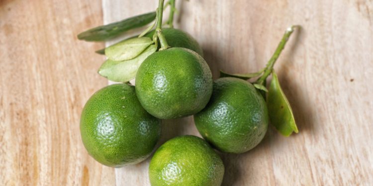 Manfaat Jeruk Kasturi Untuk Kesehatan