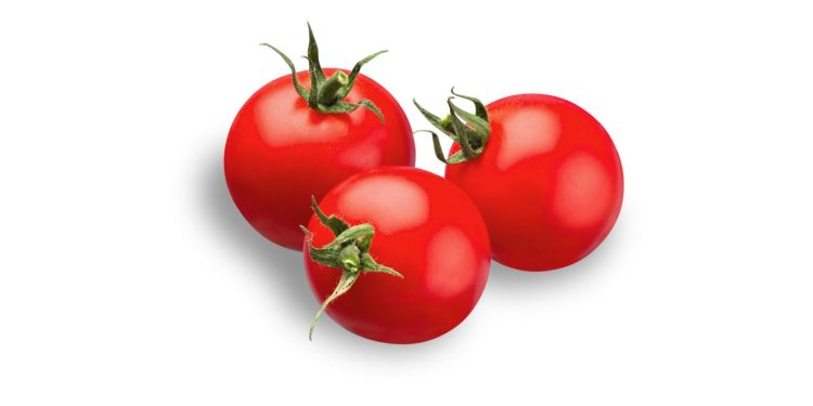 Manfaat Memakan Tomat Tanpa Gula Untuk Kesehatan