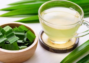 Manfaat Air Rebusan Daun Pandan Untuk Kesehatan