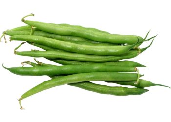 Manfaat Kacang Buncis Untuk Kesehatan Tubuh