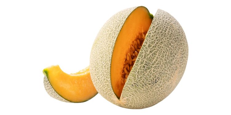 Manfaat Melon Orange Untuk Kesehatan