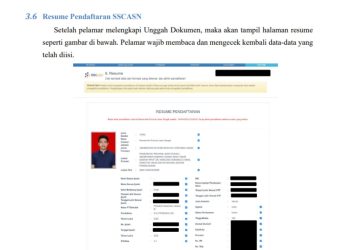 H-2 Penutupan CPNS Kemenkes 2024 Cara Resume dan Cetak Kartu yang Benar