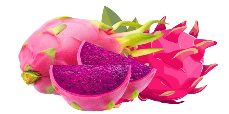 7 Manfaat Buah Naga untuk Kesehatan dan Kecantikan