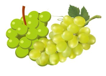 Manfaat Anggur Hijau Untuk Kesehatan Jika Dikonsumsi