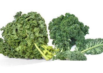 Manfaat Daun Kale Untuk Kesehatan Bila Dikonsumsi