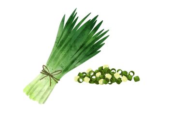 Manfaat Daun Kucai Untuk Kesehatan Tubuh