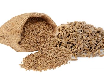 Rempah Jintan Putih Untuk Kesehatan Tubuh