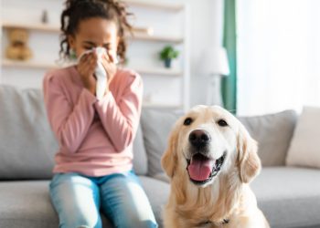 Alergi Pada Anak Penyebab, Gejala dan Mengatasinya