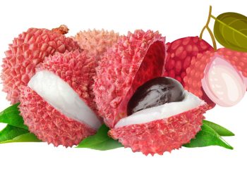 Buah Leci Kandungan dan Manfaatnya Untuk Kesehatan