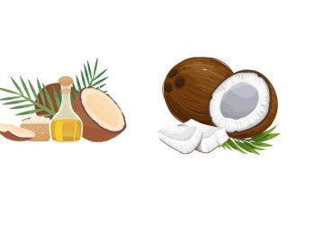 Manfaat Minyak Kelapa Untuk Kesehatan Tubuh