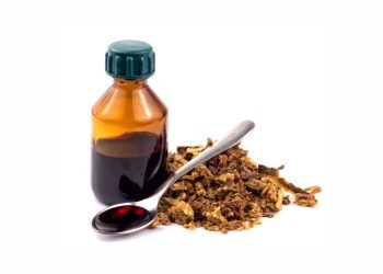Manfaat Propolis Untuk Kesehatan Tubuh