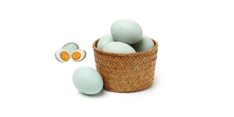 Manfaat Telur Bebek untuk Kesehatan Tubuh
